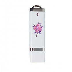 USB-накопитель с принтом - Ветка розовых роз
